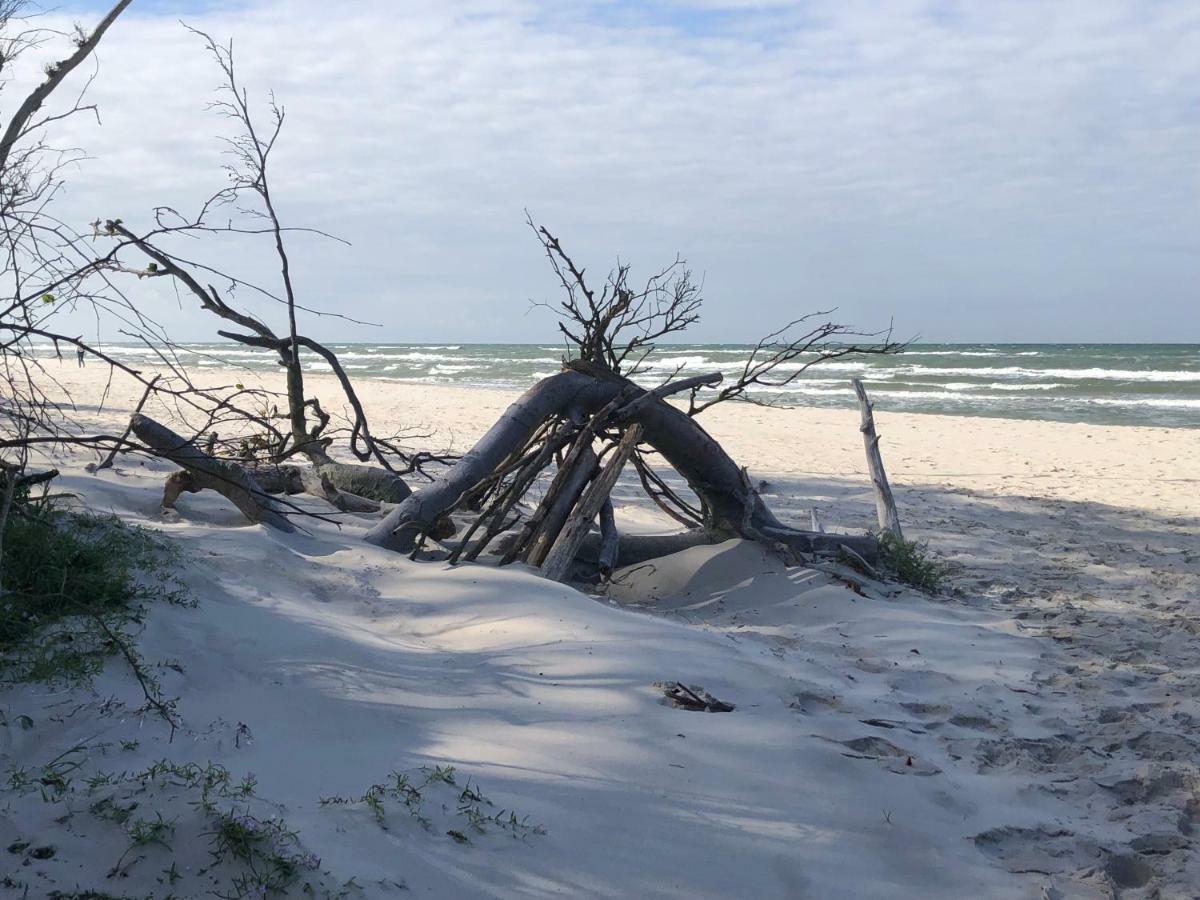 Prerow „Seaside“-Strandnah! Екстер'єр фото